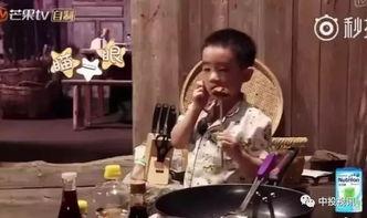 吃瓜苏爸,揭秘娱乐圈背后的真实故事