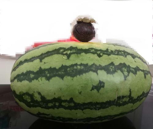 吃大家的瓜,揭秘明星们的甜蜜瓜田