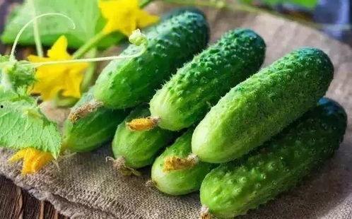 刀脚吃瓜,揭秘网络热词背后的趣味与哲理