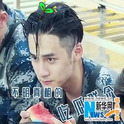 胡歌吃瓜表情,演绎娱乐圈“吃瓜群众”新风尚