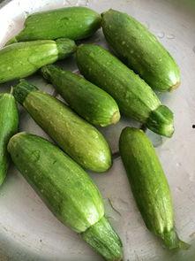 小角瓜孕妇可以吃,小角瓜助力孕妇健康饮食