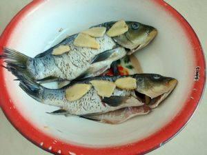 吃瓜看鱼的图片,吃瓜看鱼的独特景象