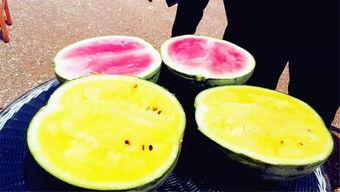 大柒吃瓜,揭秘娱乐圈幕后故事