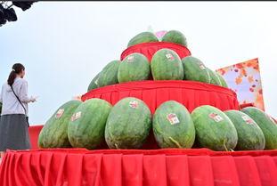 鄄城县吃瓜,探寻当地特色美食之旅