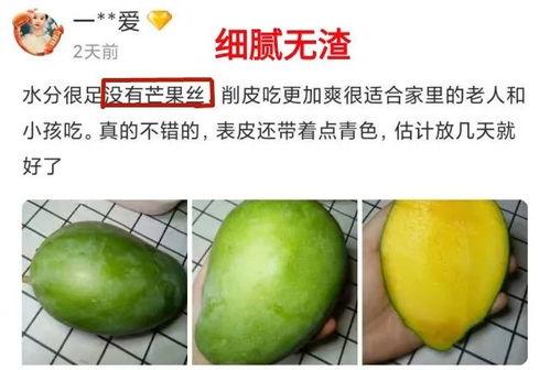 芒果可以吃瓜吗,揭秘能否同食的奥秘