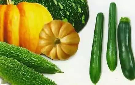 马吃瓜,田园生活画卷展开