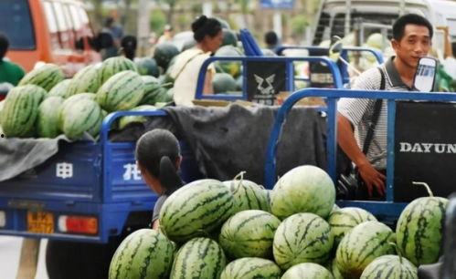 交院东区吃瓜,吃瓜群众的热闹聚集地
