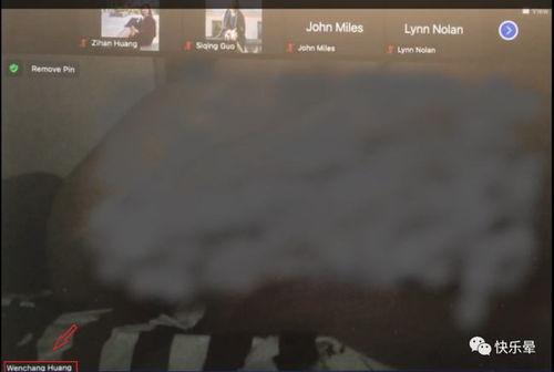 高碑店吃瓜网络事件视频,网络视频揭示惊人真相