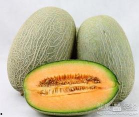 香猪吃哈密瓜,邂逅哈密瓜的甜蜜邂逅