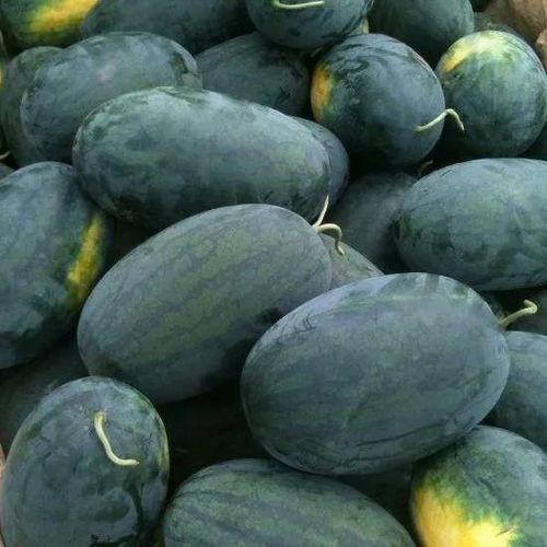 婵宝全程吃瓜,揭秘娱乐圈幕后故事