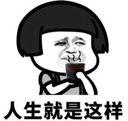 吃瓜营地公众号,带你走进娱乐圈的幕后故事