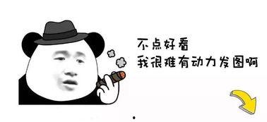 带吃瓜的QQ昵称搞笑,揭秘那些带吃瓜昵称的欢乐QQ江湖