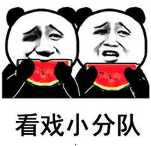吃瓜的大表情包,揭秘网络时代的“瓜界风云”