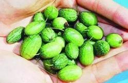 吃瓜小西,吃瓜小西带你揭秘娱乐圈那些事儿