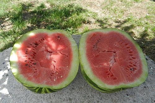 梦见吃瓜绿色的,揭秘绿色瓜果的神秘寓意