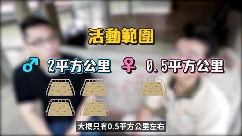 矮子吃大瓜,挑战大瓜的奇妙冒险