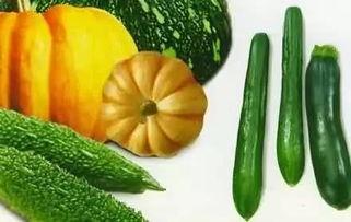 央视吃瓜,揭秘娱乐圈幕后真相