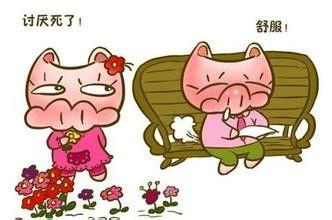 吃方瓜会放屁吗