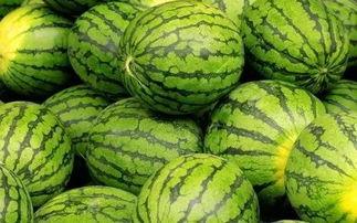 吃瓜只吃西瓜的吃瓜者什么意思,揭秘“吃瓜只吃西瓜”的吃瓜者心态