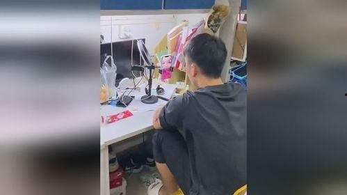 宿舍吃瓜闹鬼视频