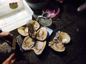 贵娘娘在线吃瓜,揭秘宫廷秘闻