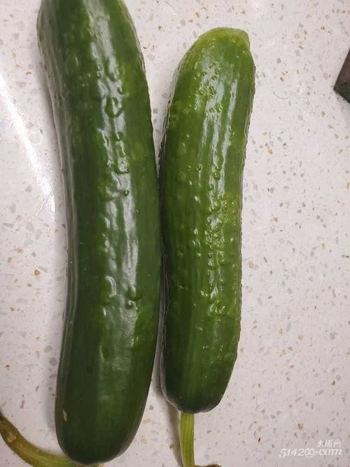 像黄瓜的瓜怎么吃